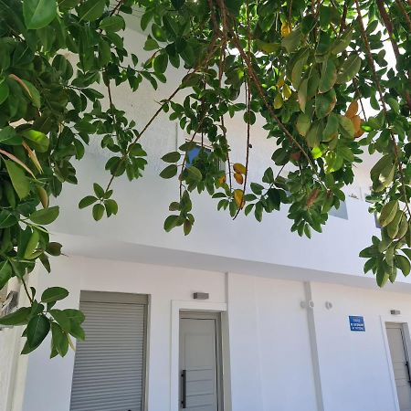 Sarri Appartments Amoudara Lasithiou 外观 照片